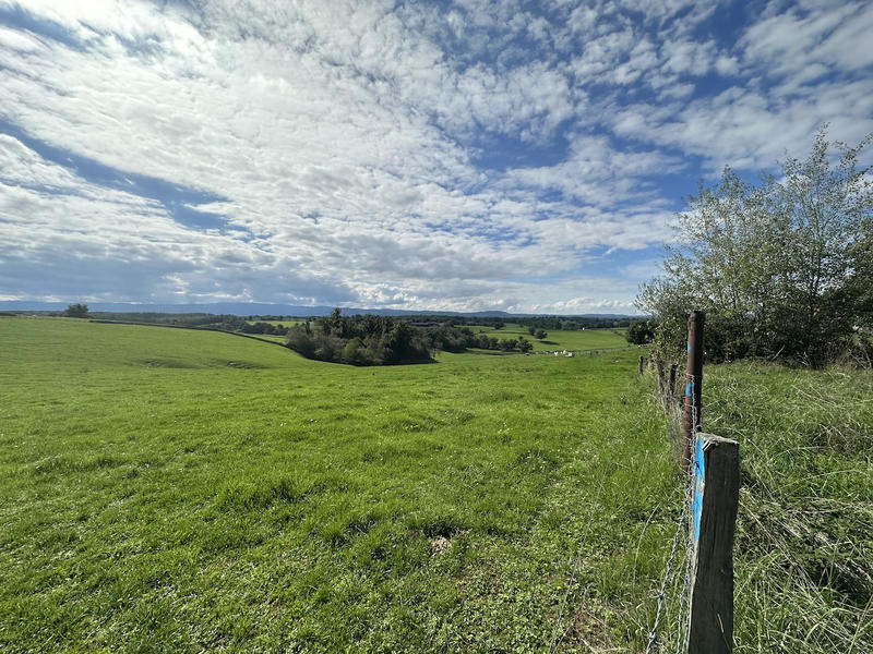 Maison - 220 m² - 7 pièces