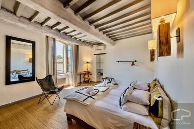 Hôtel particulier - 307 m² - 10 pièces