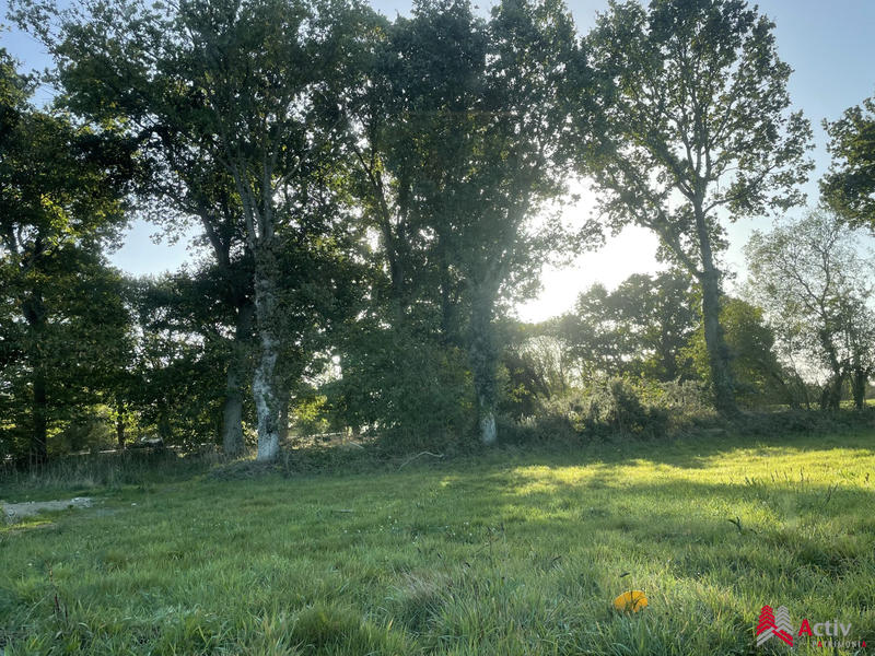 Maison - 80 m² - 3 pièces