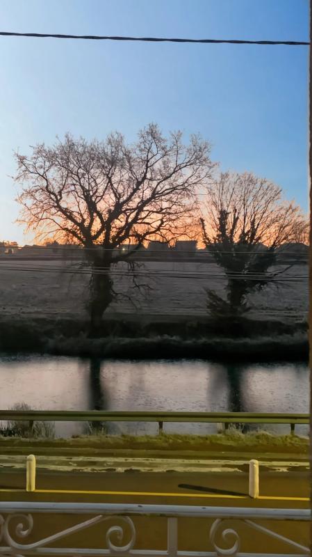 Maison bourgeoise - 230 m² - 9 pièces