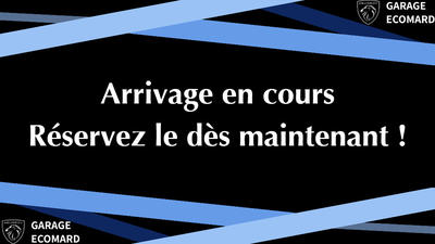 Peugeot 308 Sw II BlueHDi 130 Eat8 s&amp;amp;S Active Business