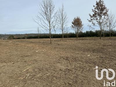 Terrain - 1 323 m²