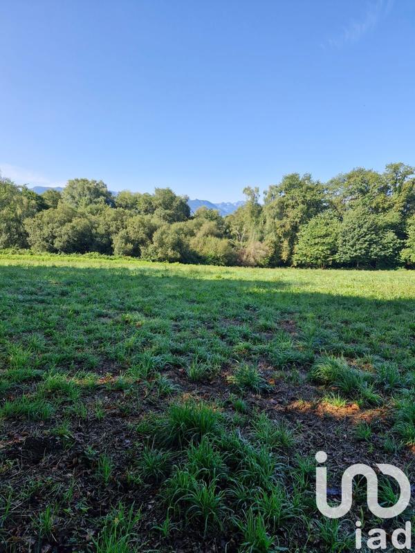 Terrain agricole - 12 539 m²