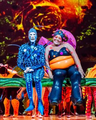 Ovo - cirque du soleil