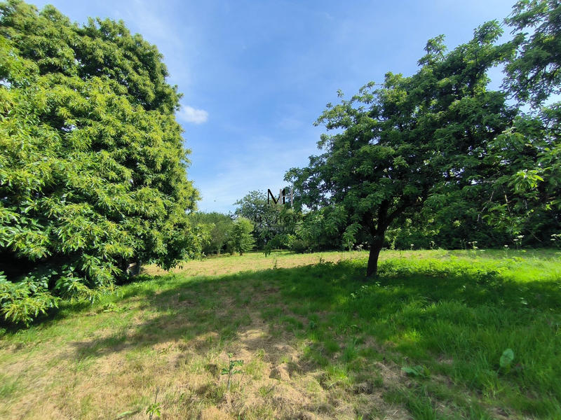 Maison - 126 m² - 4 pièces