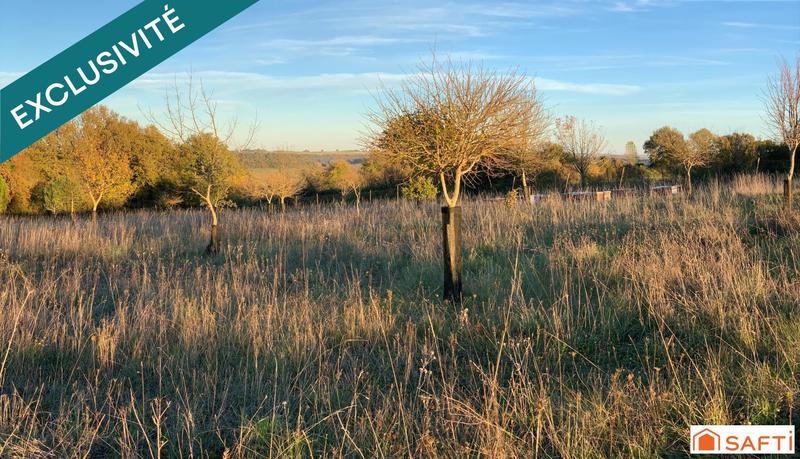 Terrain - 24 151 m²