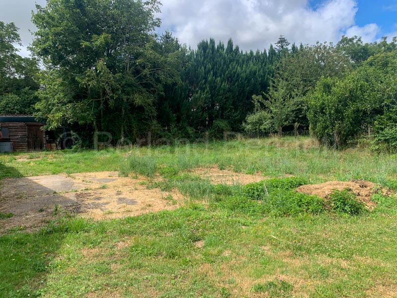 Maison en pierre - 83 m² - 3 pièces