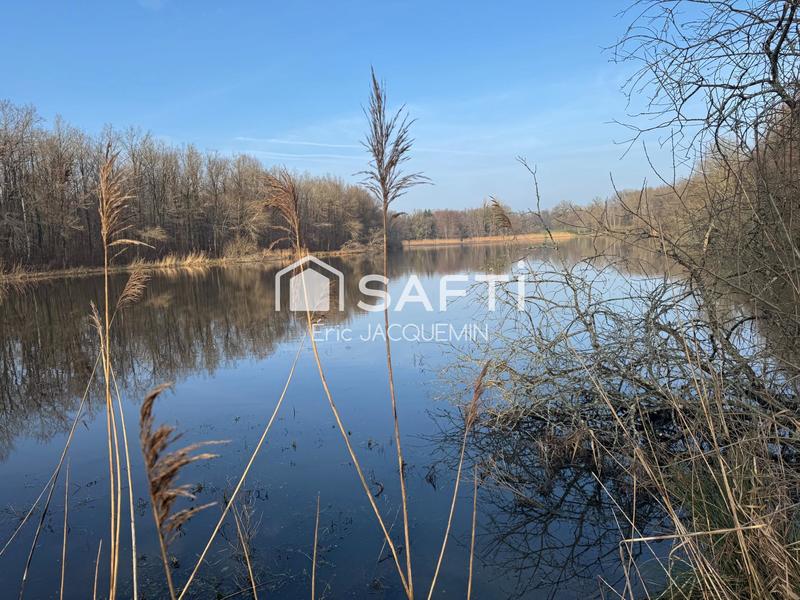 Terrain - 80 530 m²