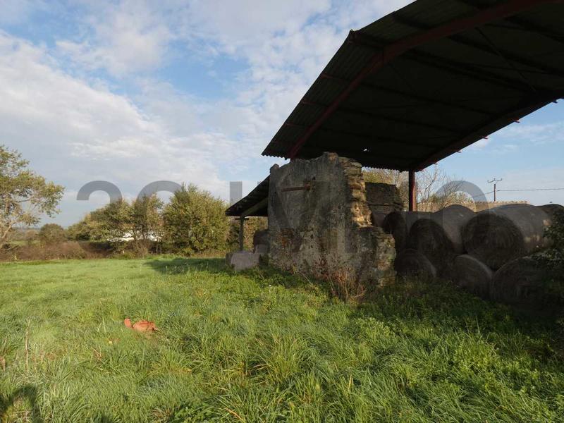 Terrain constructible - 1 000 m²