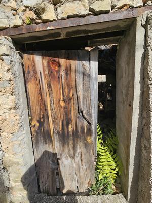 Terrain - 76 779 m²