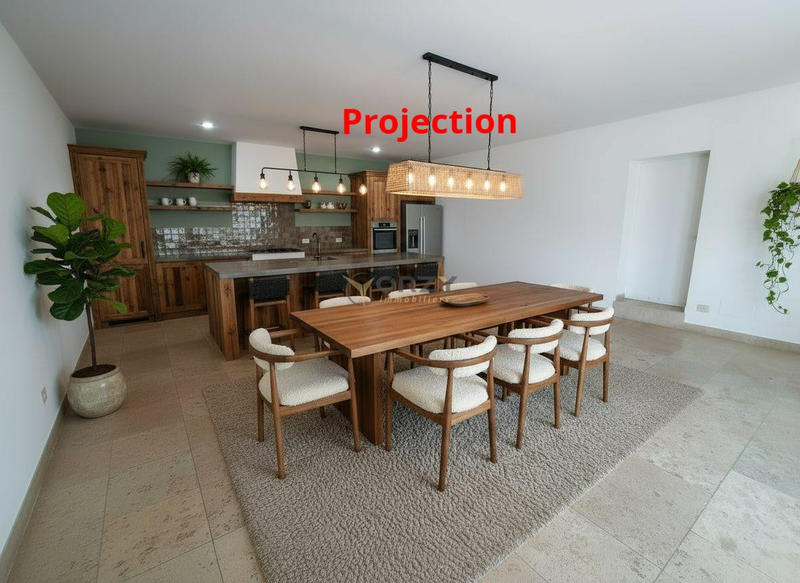 Mas - 300 m² - 10 pièces