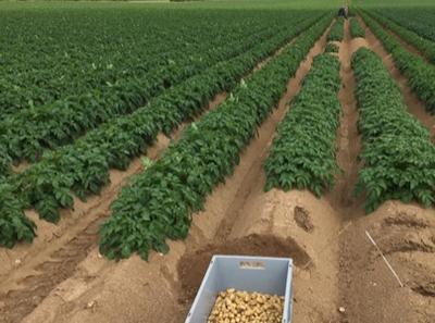 Ferme de Bretonvilliers