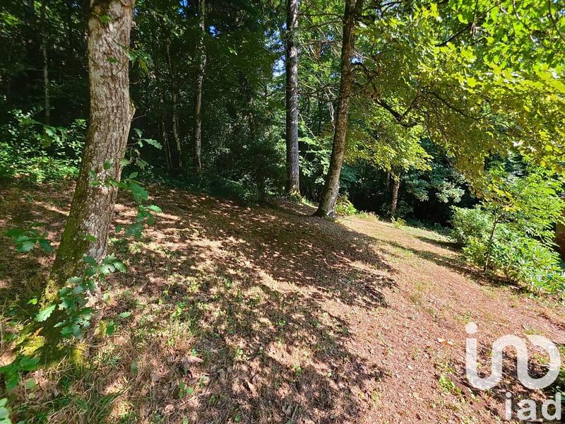 Maison de maîtres - 196 m² - 7 pièces