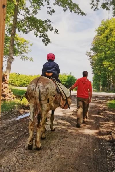 Randonnée accompagnée avec les ânes