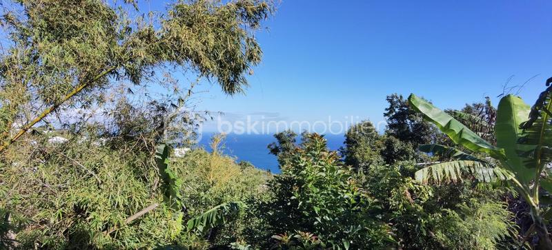 Terrain constructible - 704 m²