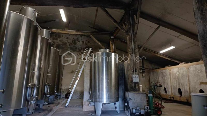 Propriété viticole - 472 m² - 14 pièces
