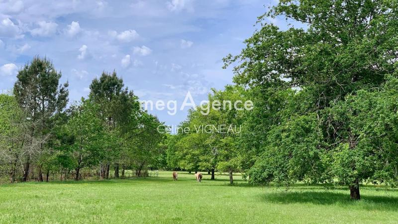 Maison de campagne - 117 m² - 3 pièces