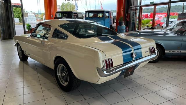 Ford Mustang Fastback Clone Gt 350 1965