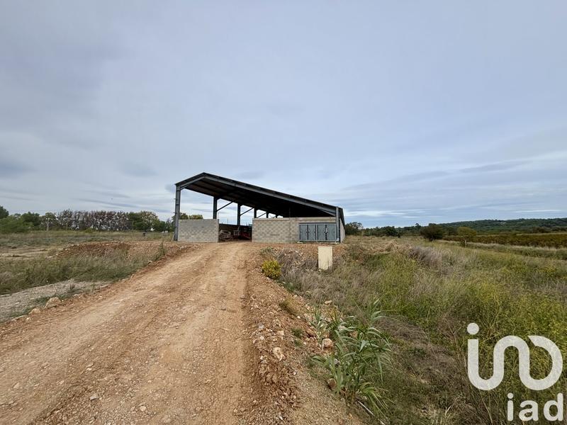 Terrain - 16 205 m²