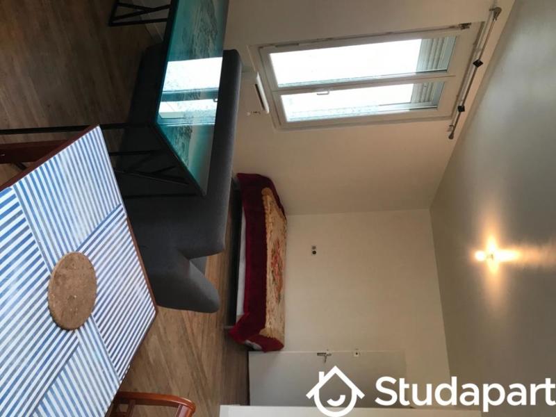 Appartement - 31 m² - 1 pièce