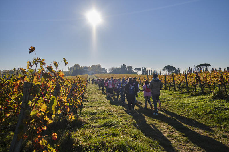 Malagar au coeur de la course