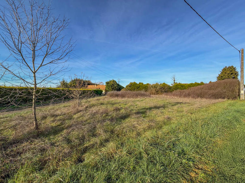Terrain constructible - 1 290 m²