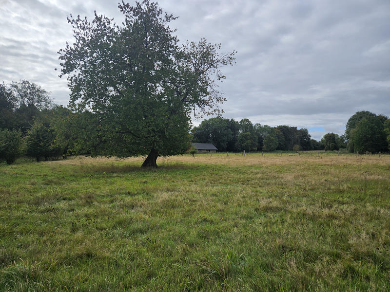 Maison - 200 m² - 10 pièces