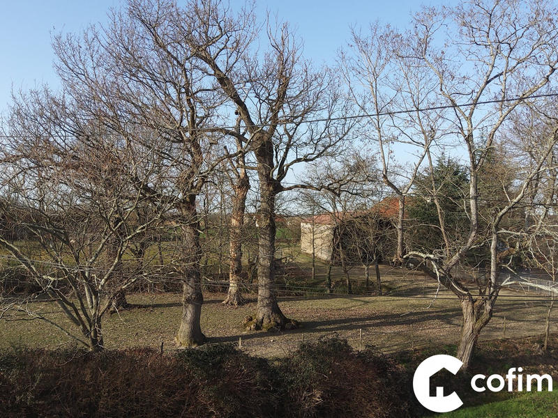 Appartement - 78 m² - 3 pièces