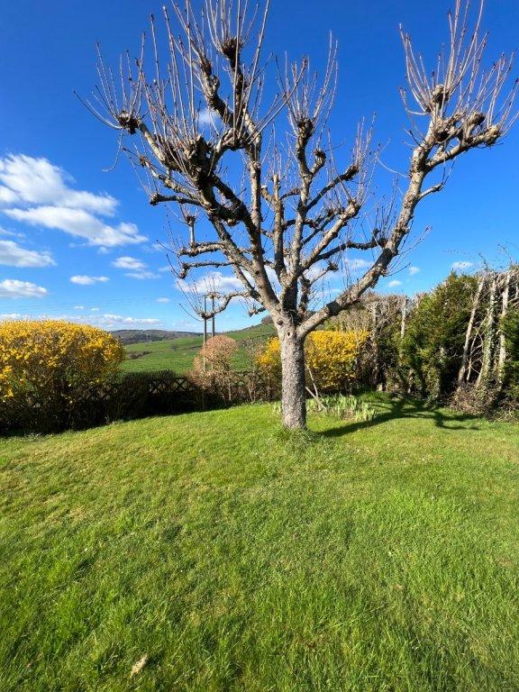 Maison - 151 m² - 7 pièces