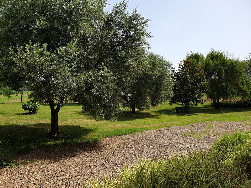 Maison - 530 m² - 15 pièces