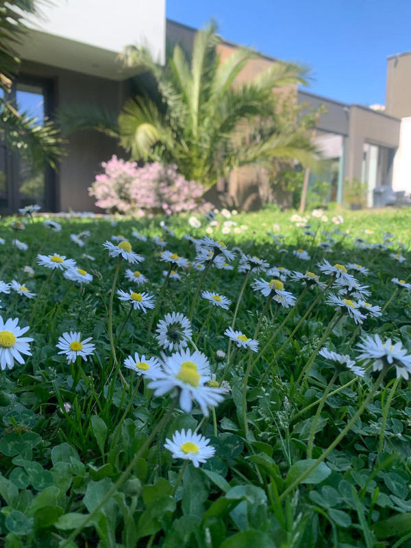 Maison contemporaine - 211 m² - 6 pièces