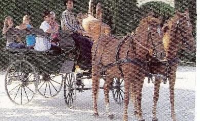 Les chemins secrets de balthazar