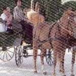 Les chemins secrets de balthazar