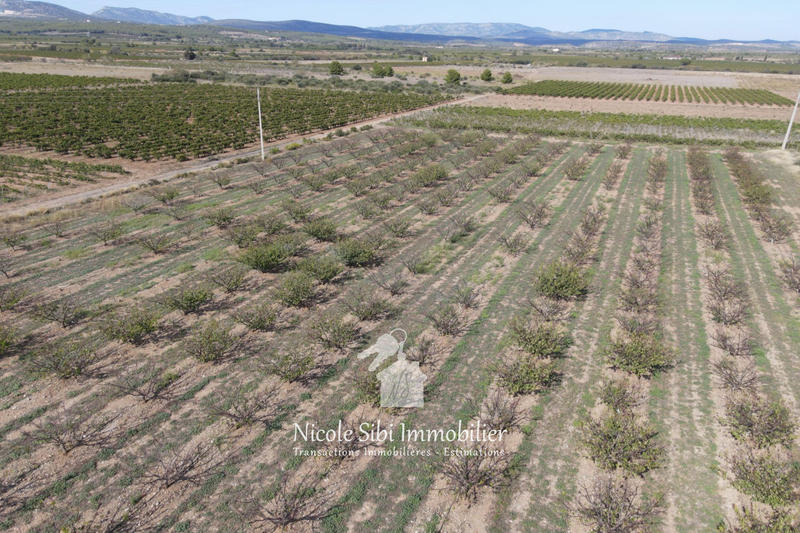 Terrain agricole - 12 550 m²