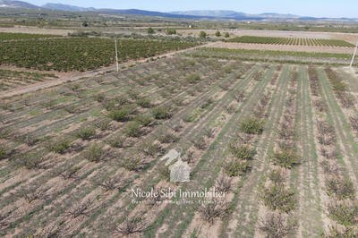 Terrain agricole - 12 550 m²