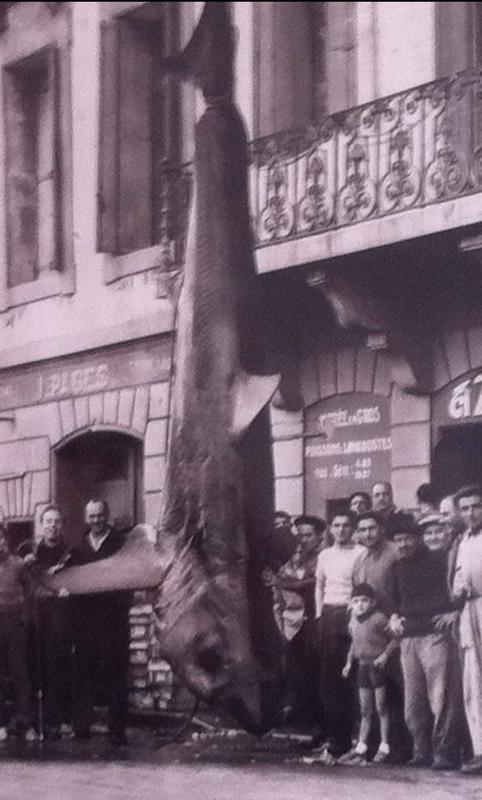 Visite Typique de Sète avec Arnaud le Sétois