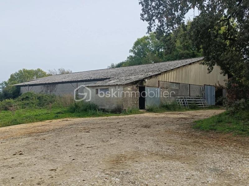 Corps de ferme - 124 m² - 5 pièces