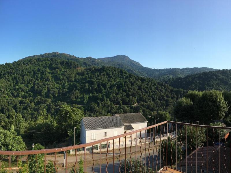 Pavillon - 216 m² - 11 pièces