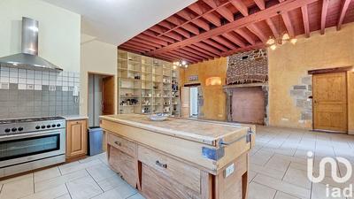 Château - 794 m² - 15 pièces