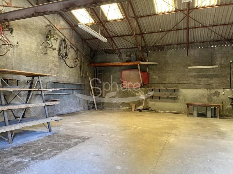 Hangar - 600 m² - 1 pièce