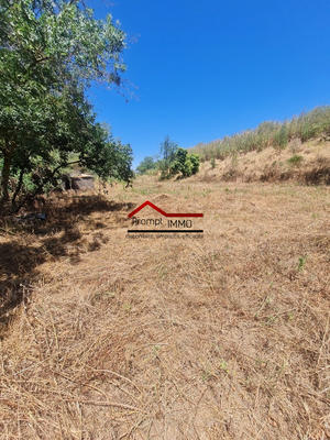 Terrain agricole - 5 787 m²