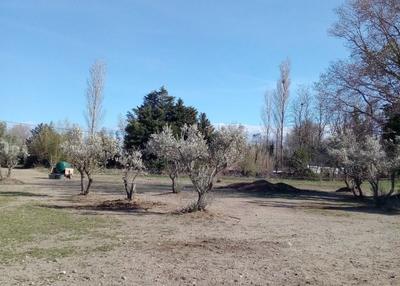 Terrain de loisirs - 8 000 m²