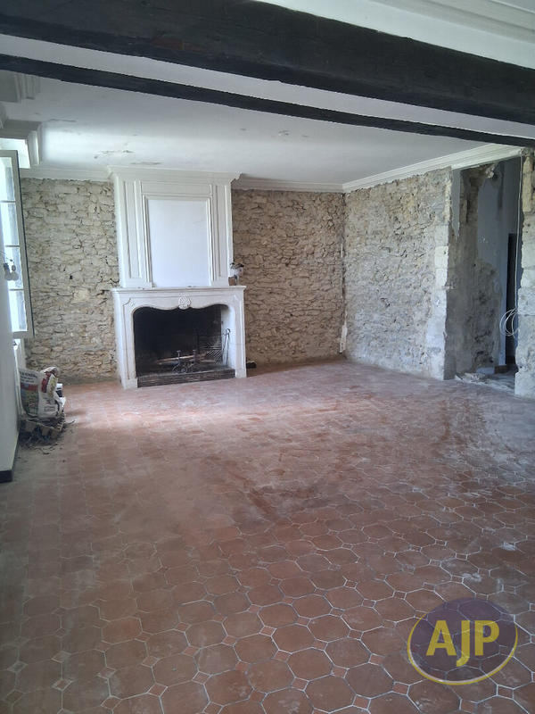 Maison - 381 m² - 13 pièces