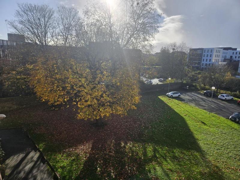 Appartement - 71 m² - 4 pièces