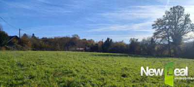 Terrain constructible - 9 000 m²
