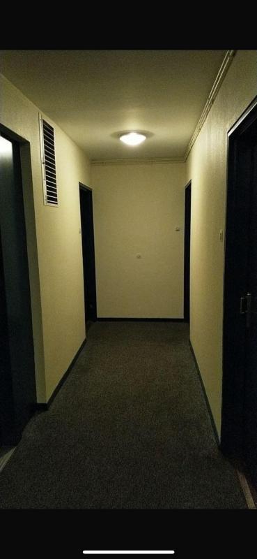 Studio - 24 m² - 1 pièce