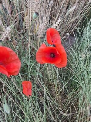 Promenade : les lieux insolites des 2eme, 3eme et 10eme arrondissements de Paris