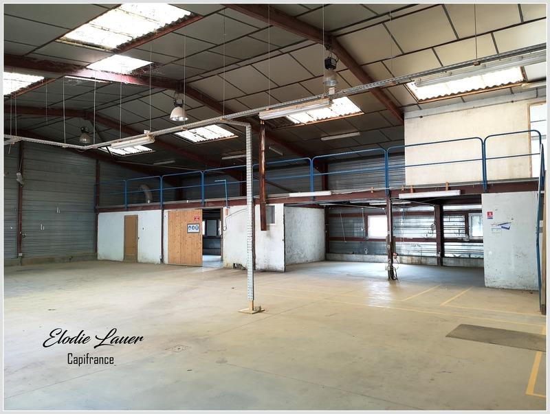 Bureau - 569 m² - 8 pièces