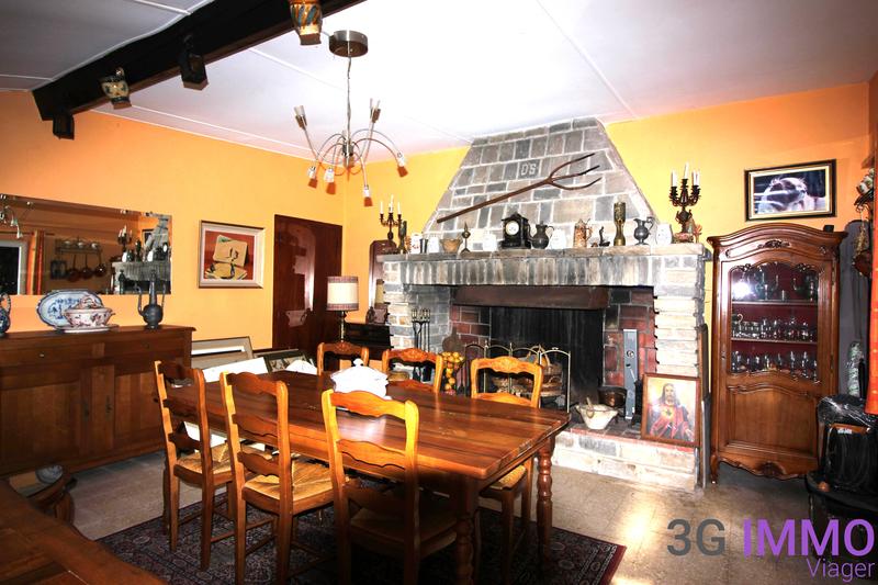 Viager - Maison - 300 m² - 8 pièces