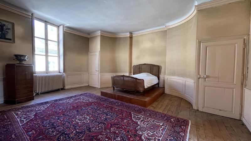 Hôtel particulier - 390 m² - 10 pièces